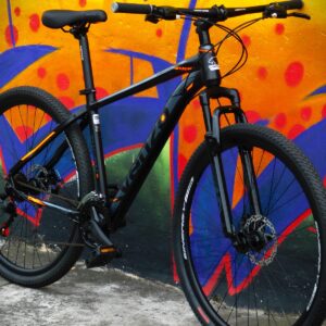 BIC VENZO THORN EX 29" MTB